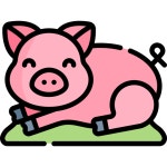 Pig Kawaii Lineal color icon | Freepik