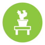 Cactus Generic color fill icon | Freepik