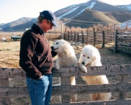 The Balancing Act of an Environmentalist Rancher – Opt Outside – Medium