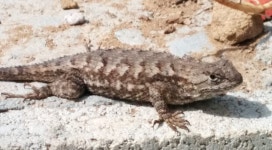 Performance: Design & Expectations – Mark Finkle – Medium