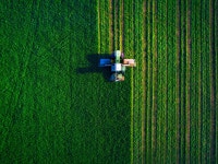 Carbon pricing is crucial to save planet – IFC – Medium