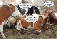 The Facebook Data Protection Racket – Robin Bloor – Medium