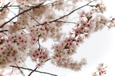 When Money Stops You From Following Your Dreams – Kelsie Page – Medium