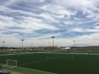 Leaving AstroTurf – Anthony DiCicco – Medium