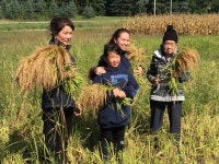 Rice Rice Baby – Marquette University – Medium
