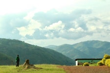 Embrace the P Word – AMPLIFY – Medium