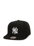 Mitchell & Ness X MLB 뿉踰꾧렇由 돱슃 뼇궎뒪 옄닔 뒪깄諛 罹 紐⑥옄 | 釉붾옓 | FARFETCH KR