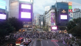 Japan confirming fewer COVID-19 cases even after ending emergency, health panel notes | The Japan Times Japan confirming fewer... 
