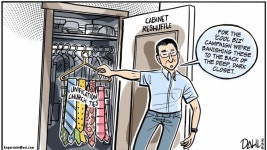 DAHLS JAPAN - The Japan Times DAHLS JAPAN - Opinion