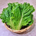 [다봄푸드] 청로메인 500g 국내산 - 에누리 가격비교