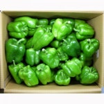 산정마을 국내산 피망 청피망 특/상 / - 에누리 가격비교