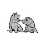Pets Corner | 무료 인터넷 라디오 | TuneIn