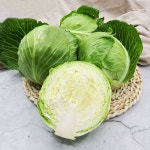 LF스퀘어 공식 온라인몰 [하늘과땅]국내산 무농약 아삭이 햇 미니양배추 3kg