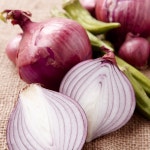 LF스퀘어 공식 온라인몰