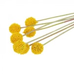 LF스퀘어 공식 온라인몰