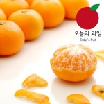 LF스퀘어 공식 온라인몰 [오늘의 과일] 제주 타이벡 노지 감귤 2.5kg