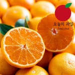 LF스퀘어 공식 온라인몰 [오늘의 과일] 블랙라벨 고당도 오렌지 20입(대과/개당 300g 내외)