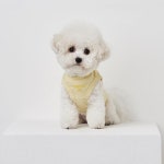 LF스퀘어 공식 온라인몰