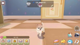마이프렌즈: Dogs(독스) - PC와 Mac에서 다운로드하고 플레이하세요 (앱플레이어)