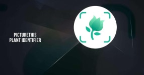 Download and run PictureThis - Plant Identifier on PC & Mac (Emulator)