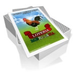 Play Android Card Games on PC & Mac (FREE) | BlueStacks