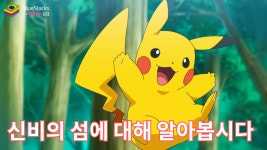 포켓몬 카드 게임 Pocket에서 신비의 섬에 대해 알아봅시다 | BlueStacks