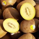 [우체국쇼핑] 강진푸드팜 미니밤호박 2kg(4-8과)/8kg 이상 구매시 1kg 추가 증정 #고품질 - 샵계부