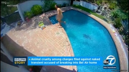 Naked transient charged with breaking into Bel Air home, killing two pet birds - ABC7 Los Angeles Naked transient charged with... 