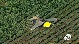 Camarillo plane crash: Pilot killed after BD-5 jet goes down near airport - ABC7 Los Angeles Pilot killed in small plane crash... 