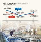 네이버페이 증권