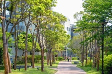 아난티 남해 | ANANTI NAMHAE 아난티 남해 자세히 보기 | ANANTI NAMHAE