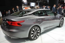 출시된 지 4년 지난 맥시마가 갑자기 도로에서 많이 보이는 이유 - 트래피카