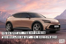 “이건 국뽕 차는 이야기입니다” 국내 회사들이 자동차 제조사들의 러브콜을 받는 분야 - 트래피카