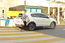 대참사 일어났다 휴게소에 쓰레기 왕창 버린 청년들... 최후는? - 트래피카