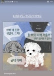 마음까지 예쁘네… 생일 맞이한 서동주, 자식만큼 소중한 반려동물 사랑에 유기견 입양 홍보까지? < 연예 < 이슈 < 기사본문 - 오토트리뷴... 