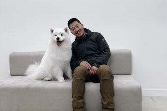 '갑질' 논란 강형욱, 진짜 한 달에 대기업 연봉 벌겠네 < 연예 < 뉴스... 회당 출연료만 이만큼?