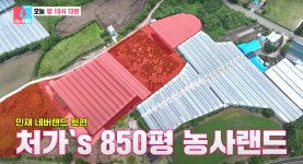 “제주도에 가진 땅만 850평”... 대규모 농사 스케일 자랑한 배우... < 방송 < 연예 < 기사본문 - 오토트리뷴 “제주도에 가진 땅만 850평”...... 