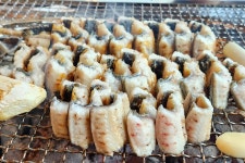 50대 엄마·아빠 최고 보양식... 멸종 위기 된 생선 정체에 충격 빠졌다 < 사회 < 기사본문 - 오토트리뷴 50대 엄마·아빠 최고 보양식... 멸종... 