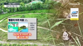 몸길이 고작 5cm 멸종위기종, 인천서 발견 < 사회 < 이슈 < 기사본문 - 오토트리뷴 400억대 공사 올 스톱!... 몸길이 고작 5cm 멸종위기종... 