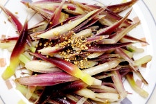 미식가들만 먹는 양하, 도대체 뭐길래? < 사회 < 이슈 < 기사본문... 먹어야 할 제철 식재료... 미식가들만 먹는 양하, 도대체 뭐길래? - 오토트리뷴