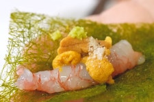 가성비 해산물, 회는 기본 튀김까지 최고?! < 생활 < 뉴스 < 기사본문... 무조건... 가성비 해산물, 회는 기본 튀김까지 최고?! - 오토트리뷴