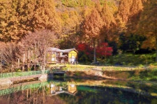 스위스 안 부러워... 인기 드라마 촬영지, 늦가을 단풍에 무료 입장까지? < 여행 < 뉴스 < 기사본문 - 오토트리뷴 스위스 안 부러워... 인기 드라마... 