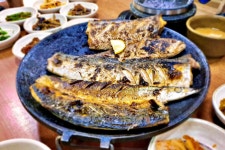 먹고 남은 생선구이, 전자레인지 돌리면 절대 안 되는 이유 < 건강 < 뉴스 < 기사본문 - 오토트리뷴 의사도 포기... 먹고 남은 생선구이, 전자레인지... 