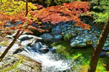 지리산 3대 계곡, 사계절 내내 절경 선사하는 명소 < 여행 < 라이프 < 기사본문 - 오토트리뷴 단풍이 다가 아냐... 지리산 3대 계곡, 사계절 내내... 