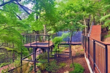 서울 도심 한복판, 무료 입장 1.45km 둘레길 < 여행 < 라이프... 달만에 9만 명 방문... 서울 도심 한복판, 무료 입장 1.45km 둘레길 - 오토트리뷴