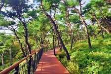 서울 도심 한복판, 무료 입장 1.45km 둘레길 < 여행 < 라이프... 달만에 9만 명 방문... 서울 도심 한복판, 무료 입장 1.45km 둘레길 - 오토트리뷴