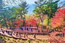 서울 도심 한복판, 무료 입장 1.45km 둘레길 < 여행 < 라이프... 달만에 9만 명 방문... 서울 도심 한복판, 무료 입장 1.45km 둘레길 - 오토트리뷴