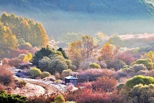 사진 촬영 가능한 군사 지역, 강원도 산골 명소 < 여행 < 라이프 < 기사본문 - 오토트리뷴 단풍과 어우러진 설경... 사진 촬영 가능한 군사 지역... 