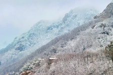 눈 내리니 美친 풍경... 단풍으로 덮였던 920m 고갯길, 이젠 설경 명소 < 여행 < 기사본문 - 오토트리뷴 눈 내리니 美친 풍경... 단풍으로... 