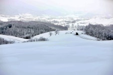 알프스 뺨치는 수준... 920m 높이, 동물과 함께 즐기는 강원도 설경 명소 < 여행 < 기사본문 - 오토트리뷴 알프스 뺨치는 수준... 920m 높이... 
